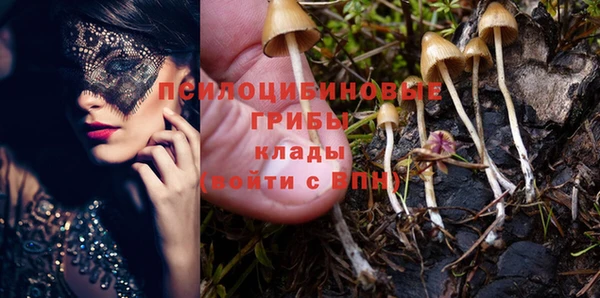 прущие крисы Верея