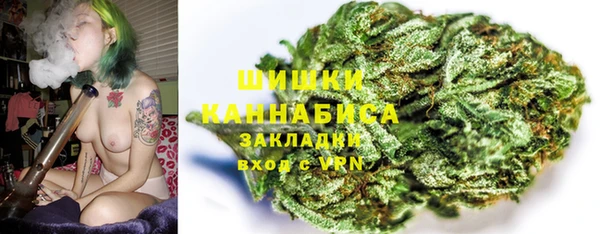 стафф Верхний Тагил