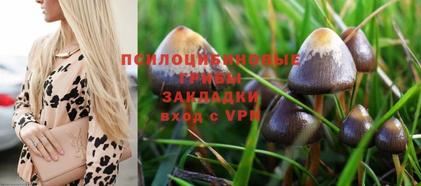 мяу мяу мука Верхнеуральск