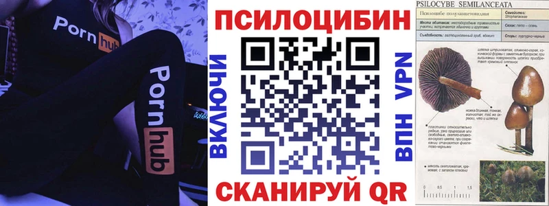 Галлюциногенные грибы Cubensis  Томск 
