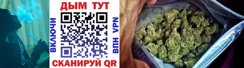 Каннабис OG Kush  Томск 